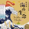 特別展「海の生命(いのち)」