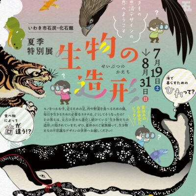 生物の造形表面